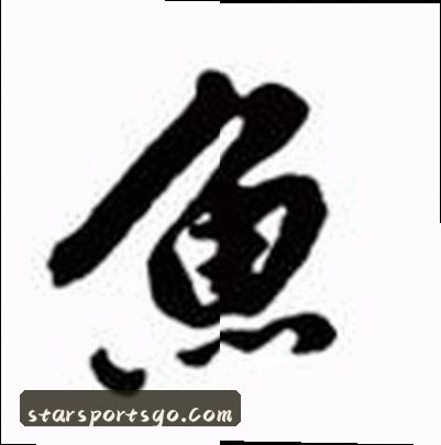 赵雨